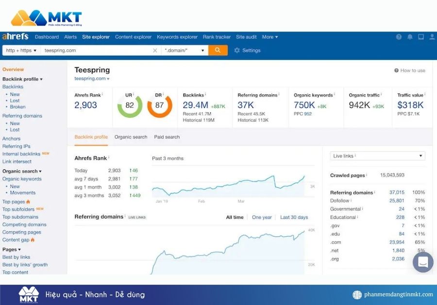 Công cụ check traffic website